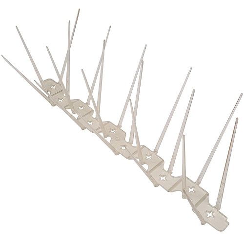 Anti Bird Spikes
