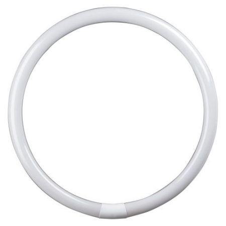 60w T9 Circ Flu 400mm G10q Cool White 840