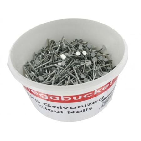 Deligo 40mm Galv Clout Nails (2kg)