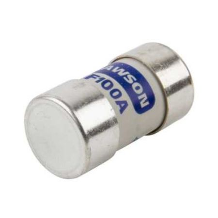 Lawson 100A Main Incomer Fuse (30.16 X 57mm)