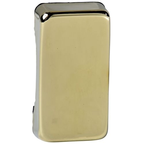 Schneider Polished Brass Plain Rocker Cap