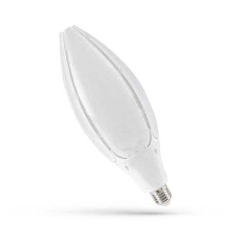 Spectrum LED Park Lamp ES 54w=5400l IP65 Cool White 4000k