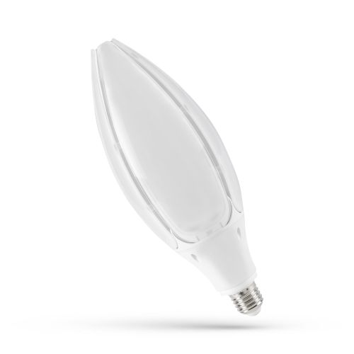 Spectrum LED Park Lamp ES 54w=5400l IP65 Cool White 4000k