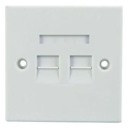 RJ45 Twin Outlet Plate With Screws