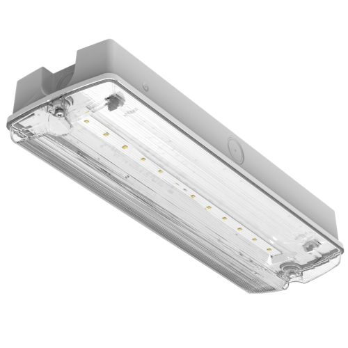 Lumineux Darwell Emergency Bulkhead 4W 6500K White IP65 E-SEL3 Selectable