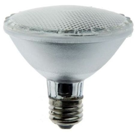PAR30 / PAR38